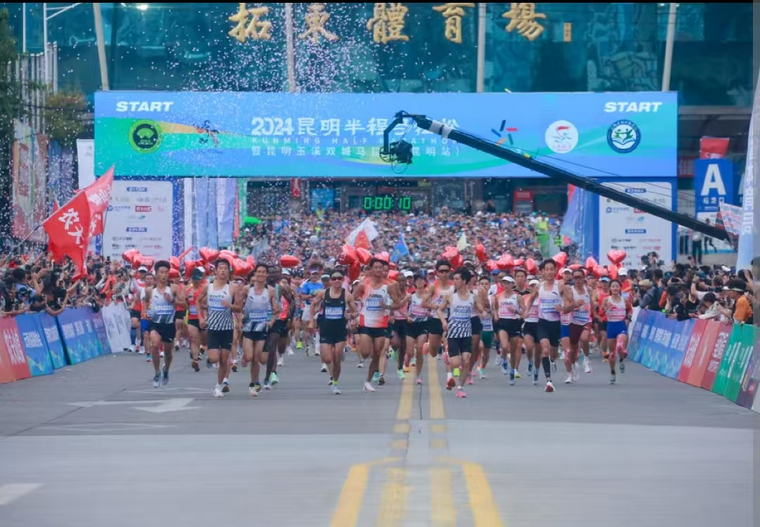 离子常年保, 南的生活, 定为
